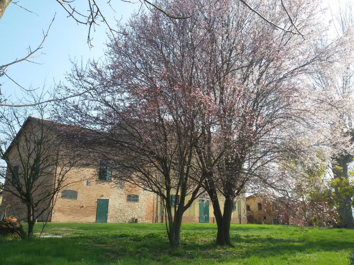 Bed and Breakfast Il Boschetto Di Morgana à Castel San Pietro Terme Extérieur photo