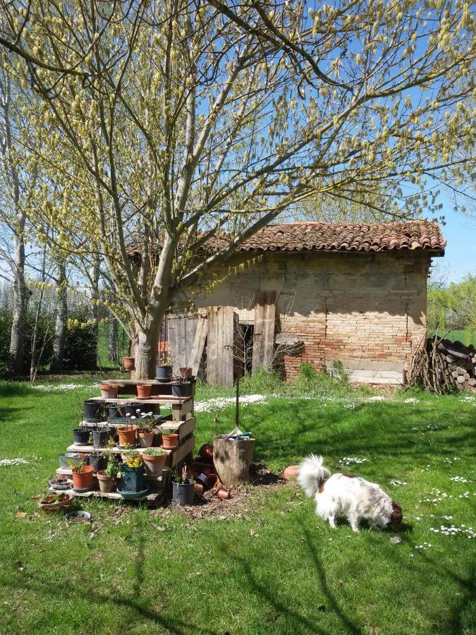 Bed and Breakfast Il Boschetto Di Morgana à Castel San Pietro Terme Extérieur photo
