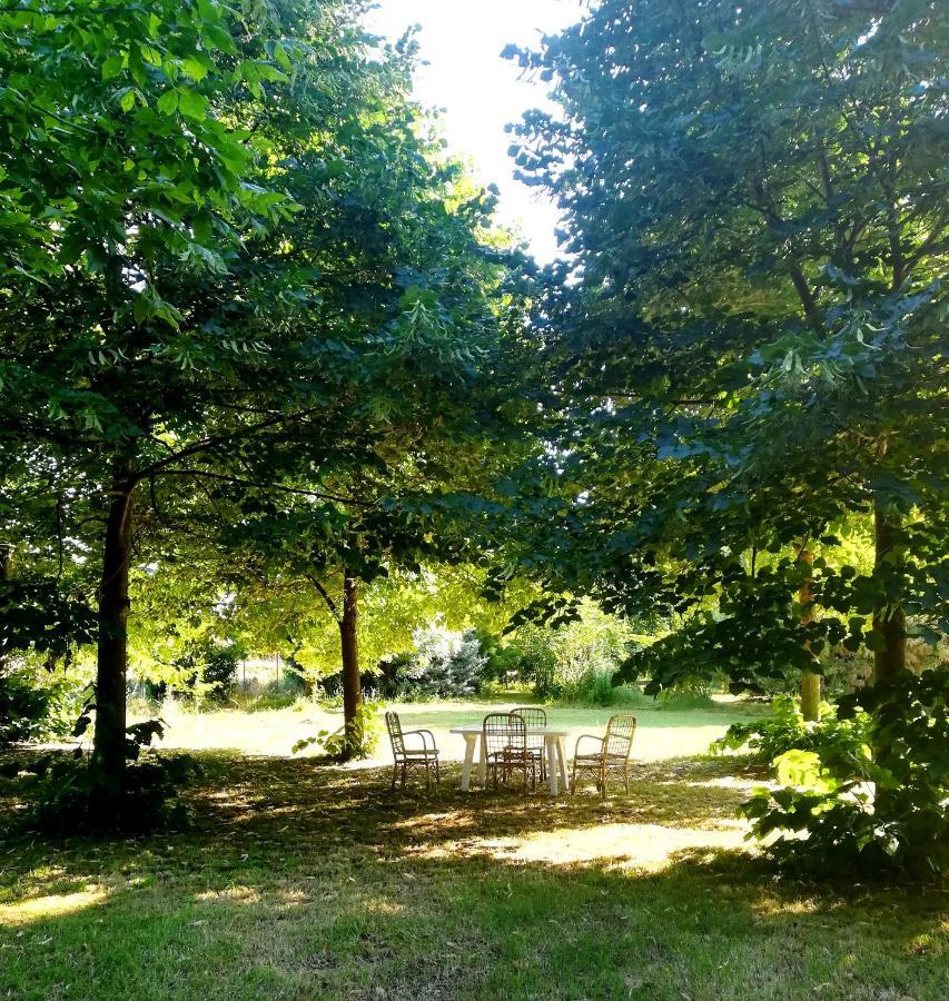 Bed and Breakfast Il Boschetto Di Morgana à Castel San Pietro Terme Extérieur photo