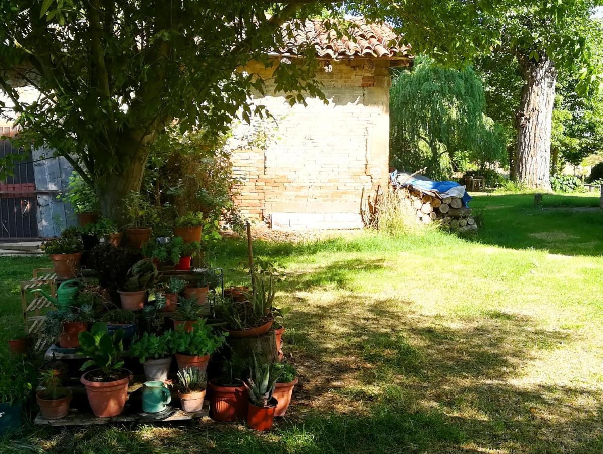 Bed and Breakfast Il Boschetto Di Morgana à Castel San Pietro Terme Extérieur photo